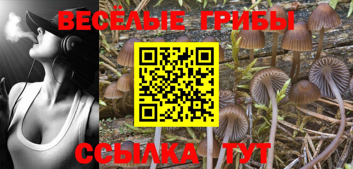 Галлюциногенные грибы Magic Shrooms Славянск-на-Кубани