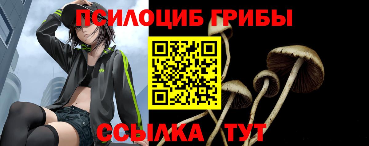 Галлюциногенные грибы MAGIC MUSHROOMS  Вход с VPN  как найти наркотики  Славянск-на-Кубани 